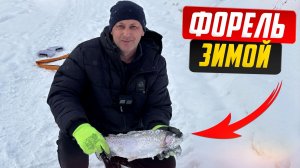 Зимняя форель в Горном Алтае | Платная рыбалка на озере