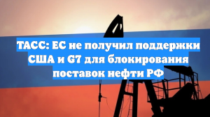 ТАСС: ЕС не получил поддержки США и G7 для блокирования поставок нефти РФ