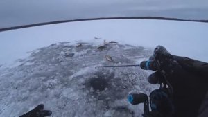 ВОТ ЭТО ПЕРВЫЙ ЛЕД! ОНИ ТАМ КИШАТ! Первый лёд 2025. Зимняя рыбалка