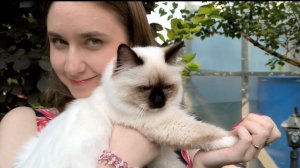 Анастасия и Иветти Диамант Блю - АЛЕНЬКИЙ ЦВЕТОЧЕК лето 2025