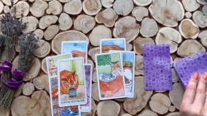 ЧУВСТВА К ВАМ СЕЙЧАС? ТАРО РАСКЛАД