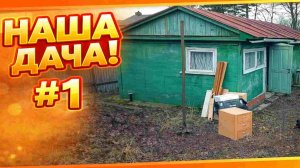 #1 Первое знакомство. Многодетная семья. Переселенцы из Прибалтики.