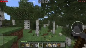 играю в майнкрафт выживание