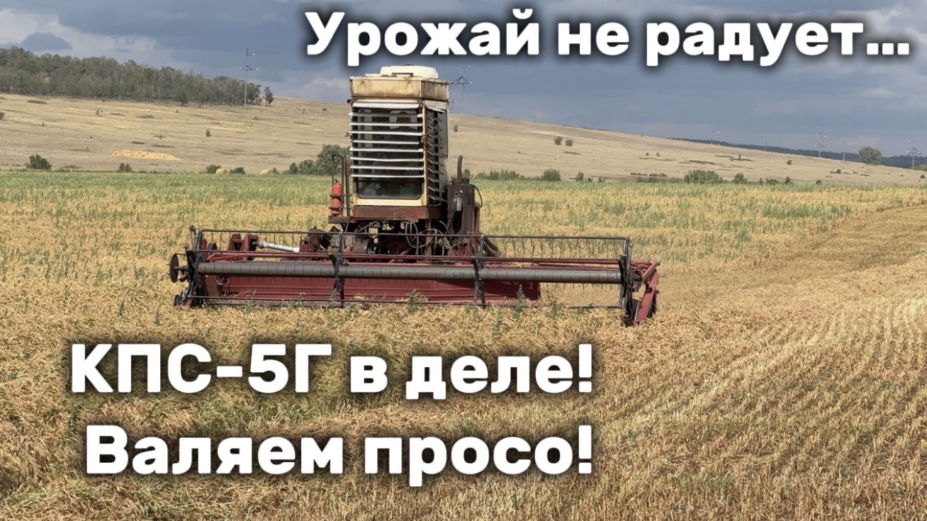 КПС-5Г в деле! Валяем просо на косилке 1985 г.в.! смотреть онлайн