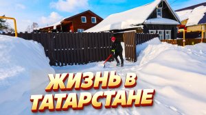 В доме появилась НОВАЯ жительница… зимой без этого не обошлось. Полез на окна