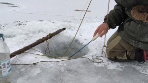 Перемет продольник. Проверка 23.02.26г.
