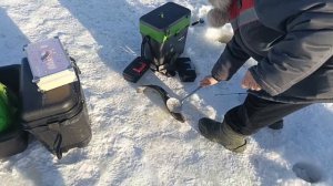 VID_20260223_093746_742