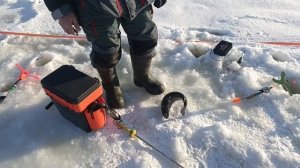 VID_20260223_094956_377