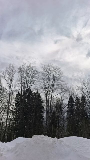 Кабицыно 🫶🤗 смотреть онлайн