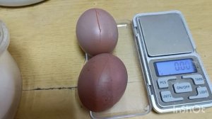 23-02-2026. Сбалансированный корм и в гнёздах ОЧЕРЕДЬ!👍