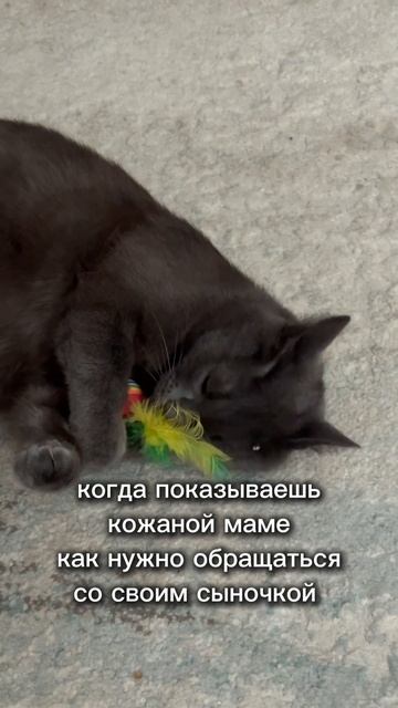 А то сама она вообще ничего не умеет А то сама она вообще ничего не умеет