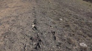 БАЛКА ЖУРАВЛЕВА