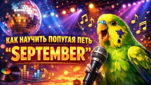 КАК НАУЧИТЬ ПОПУГАЯ ПЕТЬ SEPTEMBER