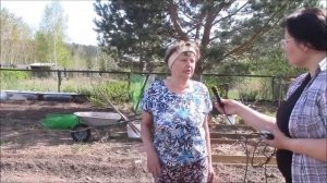 Борьба с проволочником   Ловушки для щелкуна  Благушка Людмила