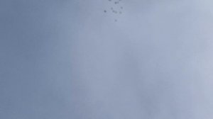 1000108462.mp4 Голубя в Подарок