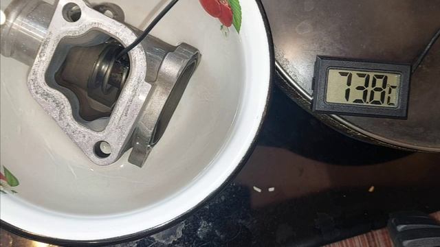 Кипячение термостата Гранта. BEHR 85С. Дата производства 2019 года.