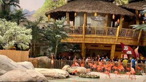 Sea World. Шоу дельфинов. Зона тропиков.