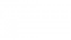 Я против ганчика11к