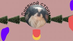 Дневной стрим