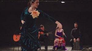 Номер фламенко на вечере в театре "Образ"