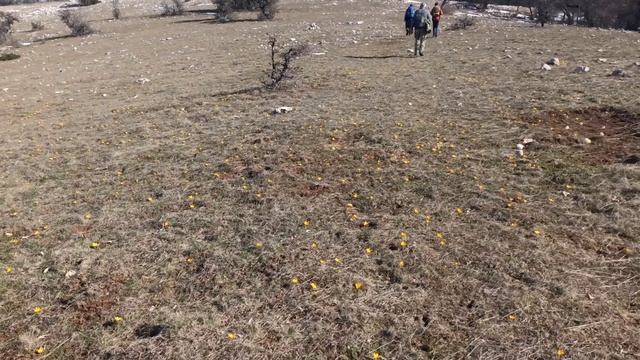 Чертова лестница (Шайтан -Мердвен).mov