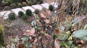 Прогулка по южному саду в конце февраля. Сезон посадок окрыт🌺