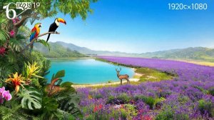 Открой Мир вместе с нами: захватывающее путешествие, полное открытий и впечатлений! ✈️🌍