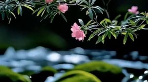 Последний сугроб