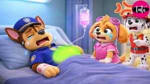 Щенячий патруль и Маршалл. Залипательное видео. Мультфильм для детей и малышей. Анимация 287