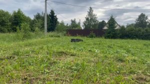 СПУТНИК - универсальный гусеничный робот