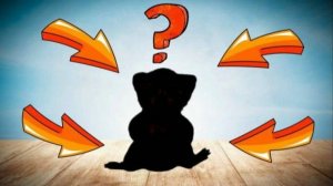 У меня появился новый друг. Кто же он такой?