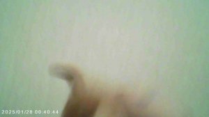 Шоколадка-скалолазка