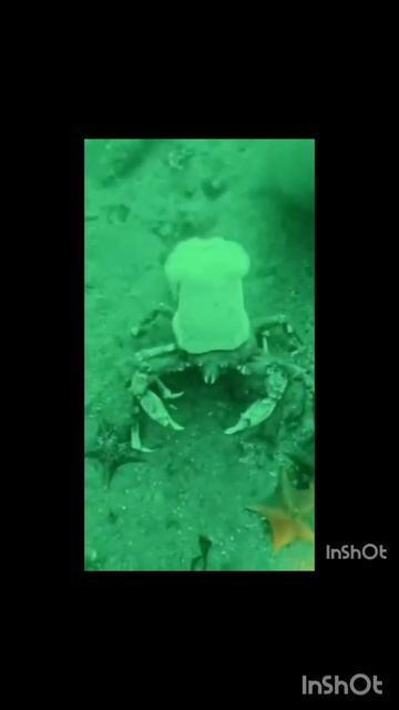 Посмотрите как красиво и интересно 🫣🕵️🧐🤫🤔⚡✨🌟⭐💫👀☀️✨🌞💰👑⚜️❇️✨🌟💫☀️🌞🕵️ смотреть онлайн