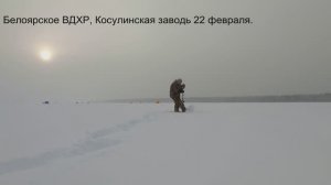 БЕЛОЯРСКОЕ ВДХР, КОСУЛИНСКАЯ ЗАВОДЬ. ОКУНЕК НА МАЛИНКУ.