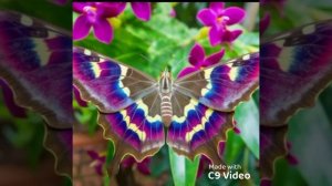 Video_2026_02_23_20_03_56.mp4