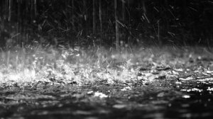 Ночь и игра немного