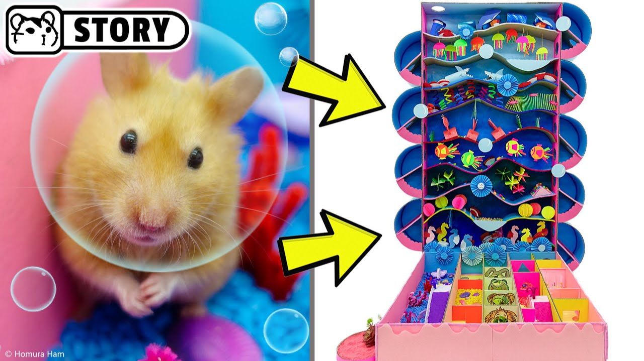 Хомяк в подводном лабиринте на Большом Барьерном рифе 🐟 Хомяк Хомура смотреть онлайн