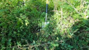 Коп по Войне ТИШИНА, КОТОРУЮ НАРУШИЛА ГИТАРА. Место боя советских солдат