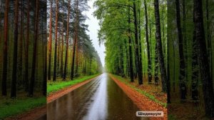 "Над синевою подмосковных рощ" - Марина Цветаева, идея КА, исполнение ИИ