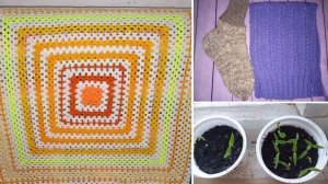 Процессы растут! Первые всходы перцев