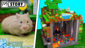 Лабиринт с хомяками Minecraft Cube 🐹 Подземелья Minecraft 🐹 Хомяк Хомура