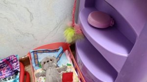 ПОПОЛНЕНИЕ В СЕМЬЕ💕// 23 февраля| МИША СЛОМАЛ ЛАПУ????? 😭😭😭