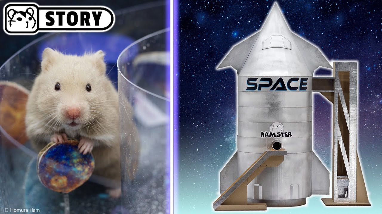 Hamster Starship — технология будущего! 🚀 Хомяк Хомура смотреть онлайн