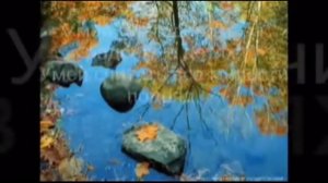 Дом на Сионе. Сборник 10.mp4