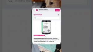 Текущие расходы по приюту