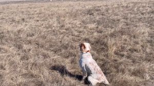 Федора. 23.02.26