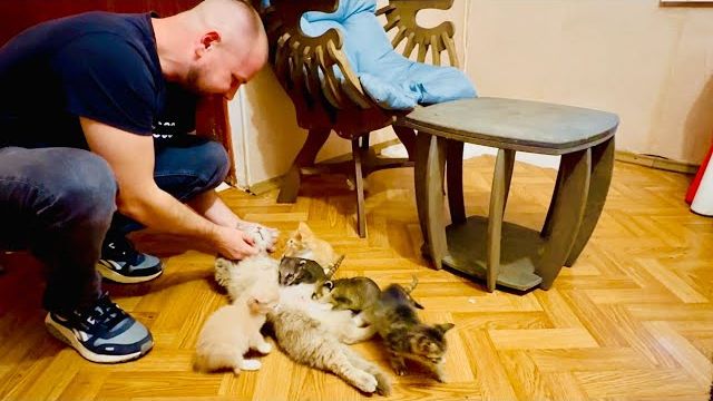 Мне кажется что после возвращения у МоныЛизы МАСТИТ, доктор Василий СПЕШИТ НА ПОМОЩЬ! смотреть онлайн