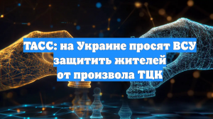 ТАСС: на Украине просят ВСУ защитить жителей от произвола ТЦК