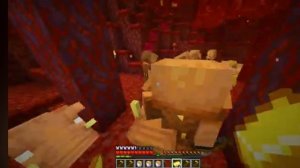 TO BE CONTINUED MINECRAFT (PIGEON EDITION)
