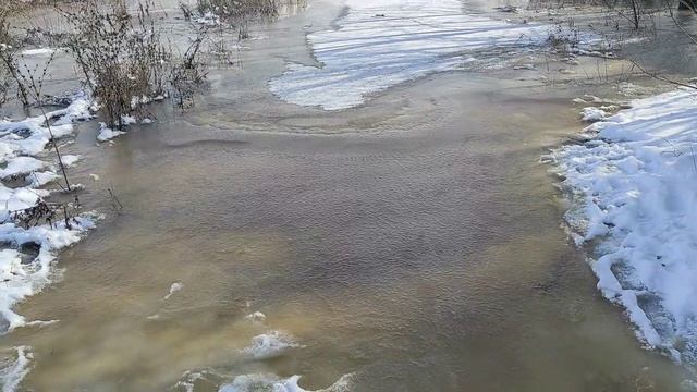 Половодь в Подгоровке прибывает смотреть онлайн